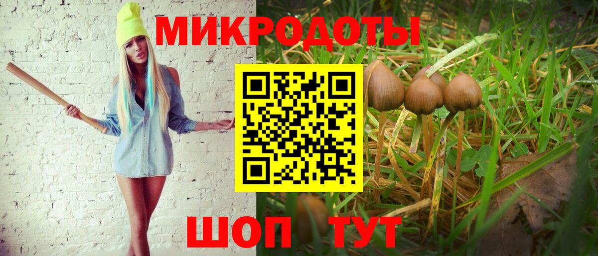 Кинель  Псилоцибиновые грибы мицелий  Вход с VPN 